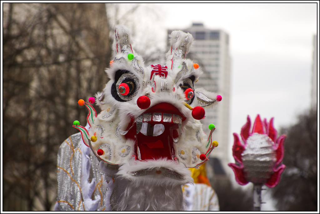 Nouvel An Chinois K5002436